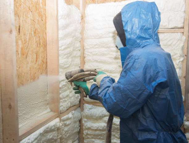 Best Attic Insulation Installation  in Captain Cook, HI